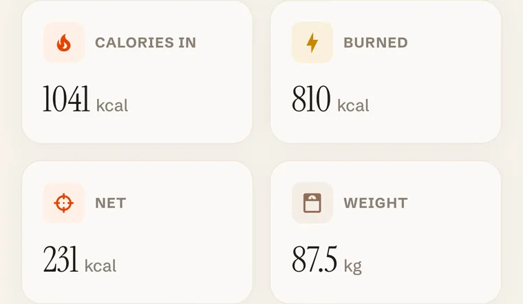 Forge dashboard for the day: 1,041 kcal in, 810 burned, 231 net, weight 87.5 kg